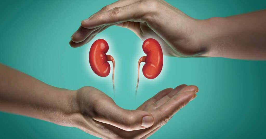 fasting jako forma detoksu grafika z nerkami