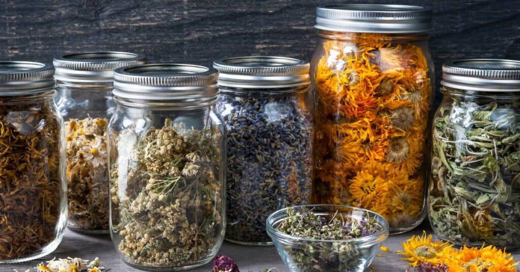 kuracja kneippa ziołolecznictwo słoiki z suszonymi ziołami