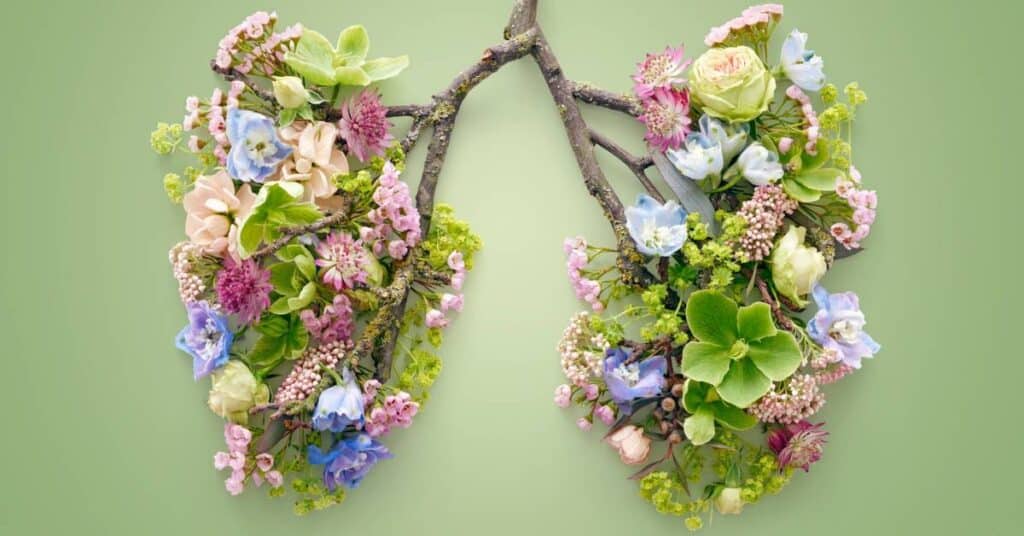 oddychanie jako forma detoksu organizmu kwiaty ułożone w kształcie płuc