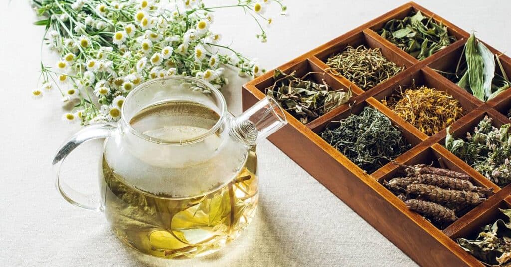 ograniczenie szkodliwych substancji herbaty oczyszczające dzbanek z ziołami i pojemnik z suszkami obok